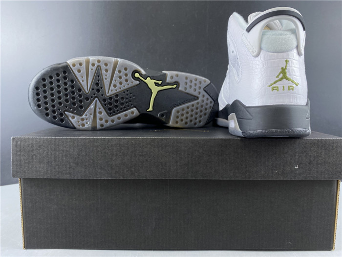 AIR JORDAN 6 GS ALLIGATOR 384665-110