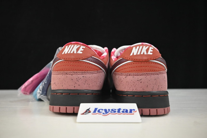 Nike SB Dunk Low Concepts Red Lobster 313170-661