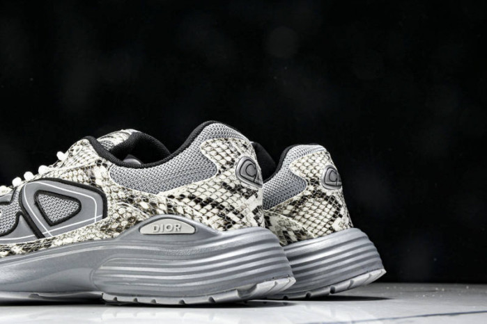 DIOR B30 SNEAKERS B30-000110