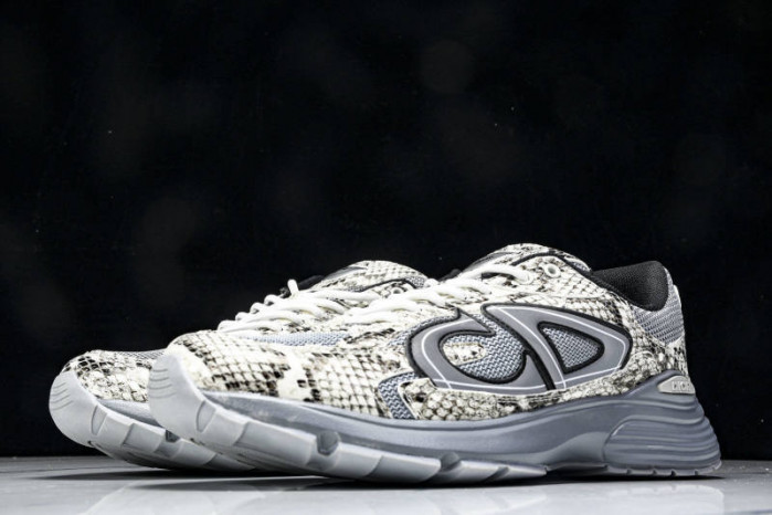 DIOR B30 SNEAKERS B30-000110