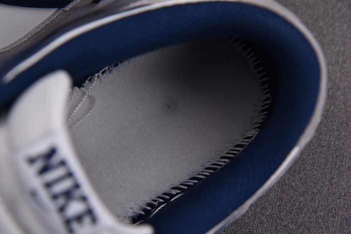 Nike Dunk Low Summit White Midnight Navy FD9749-400