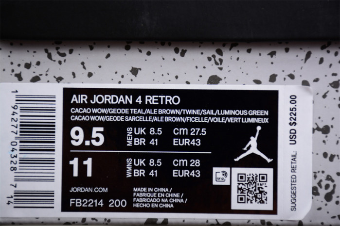 Air Jordan 4 GS “Cacao Wow FB2214-200