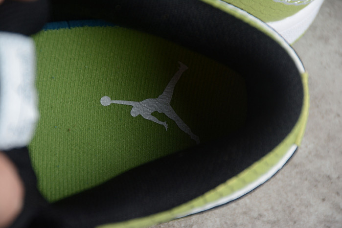 AIR JORDAN 1 LOW "VIVID GREEN SNAKESKIN