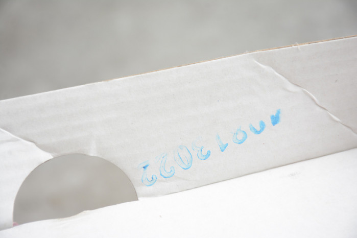 diamond S*pply co. x dunk low pro sb 