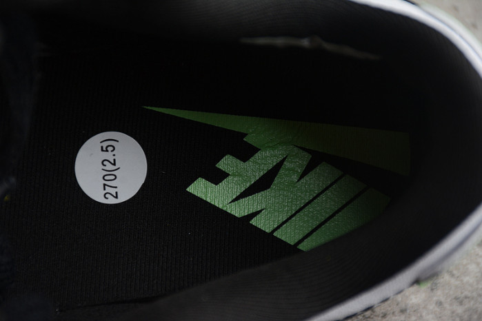 Dunk Low Disrupt 2 "Panda" DV1490-161