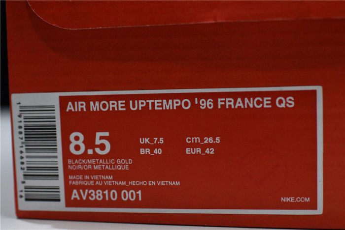 Nike Air More Uptempo France AV3810-001