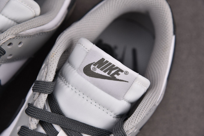 Nike Dunk Low Light Smoke Grey DD1503-117