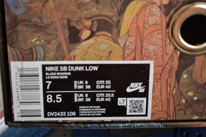 NIKE DUNK LOW SB DV2433-109