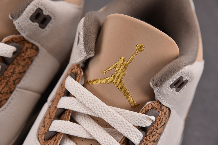 Air Jordan 3 "Palomino" CT8532-102