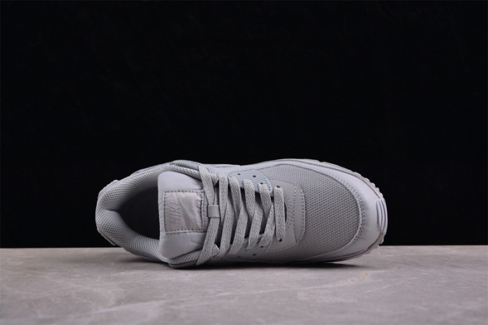 Nike Air Max 90 Recraft Wolf Grey CN8490-001