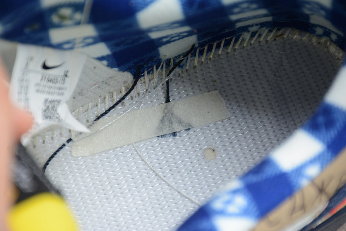 2020 Nike SB Dunk Low Pro What the Dunk 318403-175