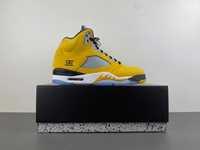 Air Jordan 5 Retro T23 