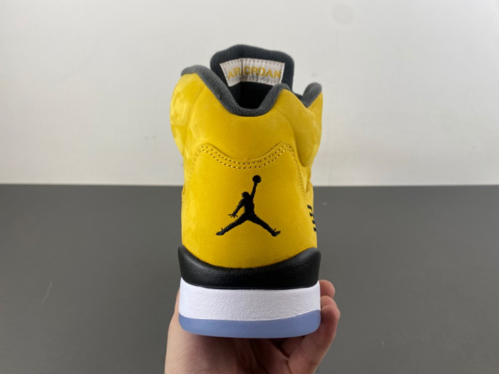 Air Jordan 5 Retro T23 